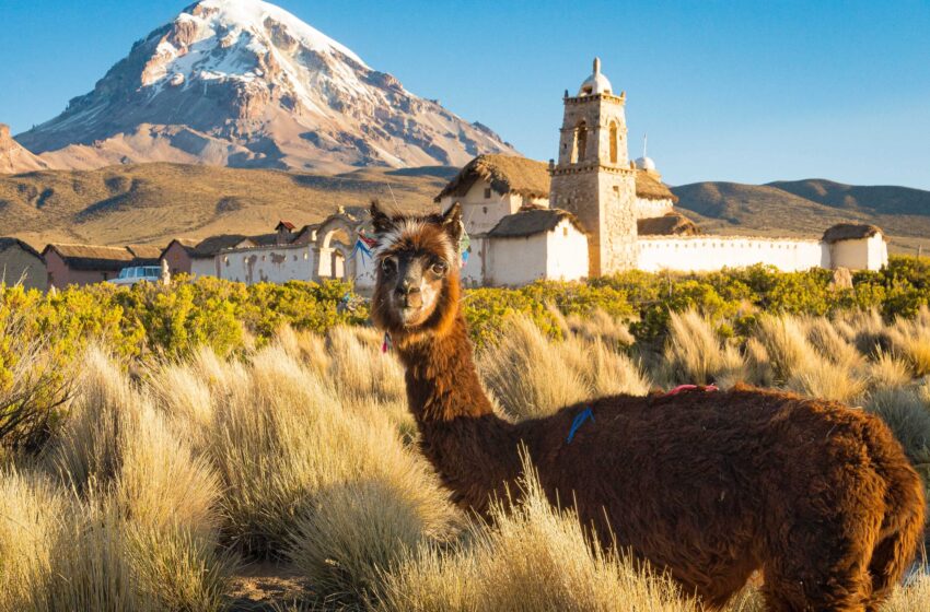  Bolivia’s Only Travel Guide You Need For A Great Trip in 11 Easy Steps
